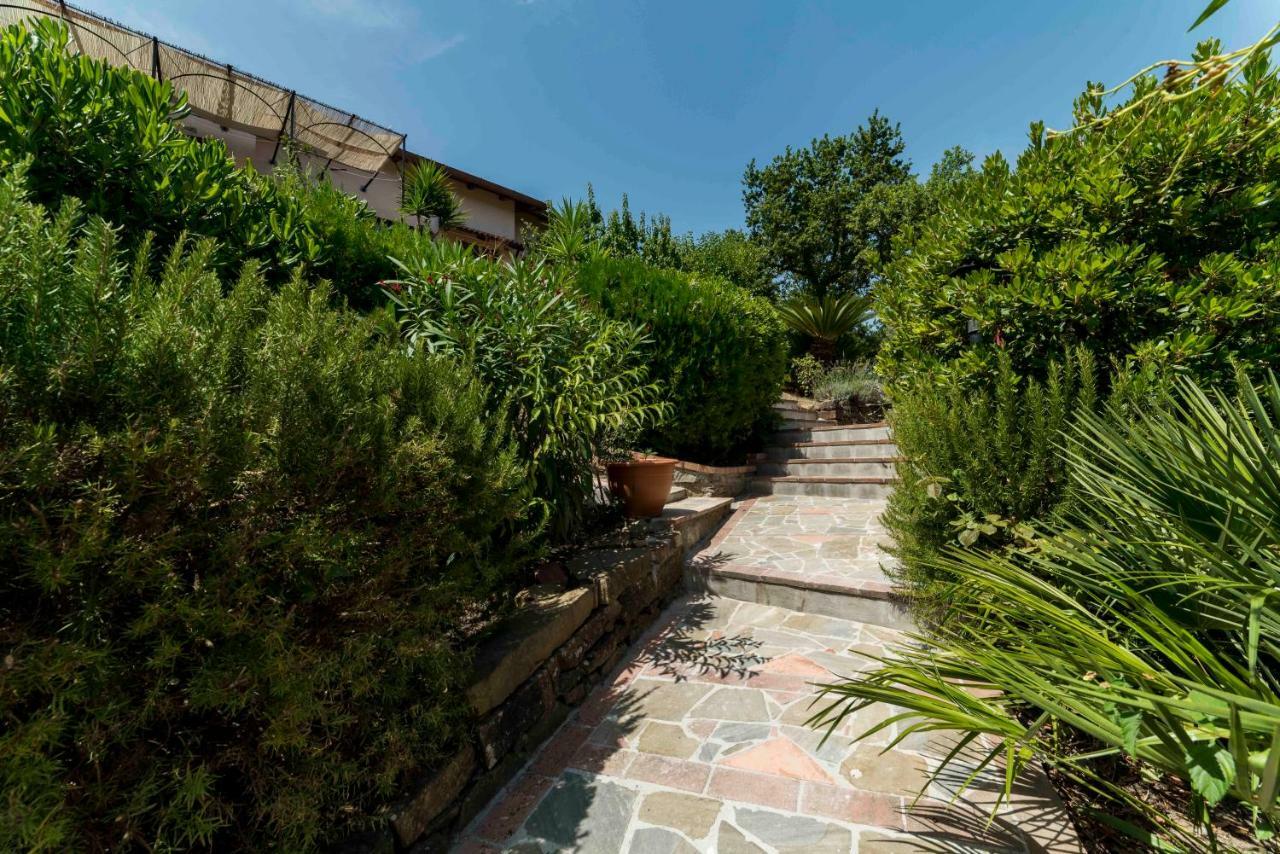 B&B Albachiara Casa Di Campagna Ogliastro Cilento Exterior foto