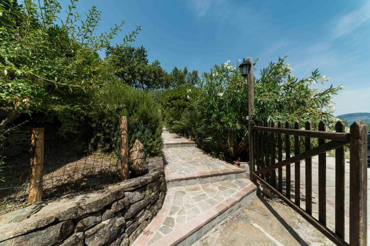 B&B Albachiara Casa Di Campagna Ogliastro Cilento Exterior foto